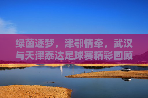 绿茵逐梦，津鄂情牵，武汉与天津泰达足球赛精彩回顾，绿茵逐梦，津鄂情牵，武汉与天津泰达足球赛精彩回顾