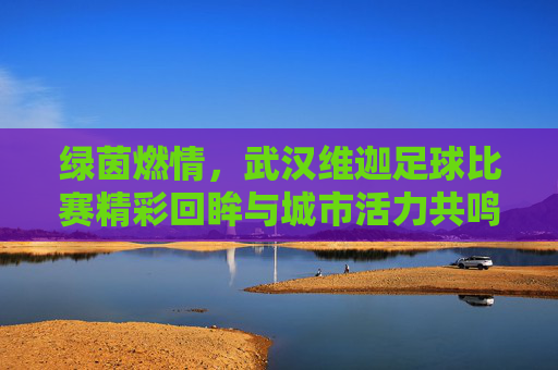绿茵燃情，武汉维迦足球比赛精彩回眸与城市活力共鸣，绿茵燃情，武汉维迦足球比赛精彩回眸与城市活力共鸣