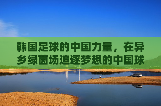 韩国足球的中国力量，在异乡绿茵场追逐梦想的中国球员，韩国足球的中国力量，在异乡绿茵场追逐梦想的中国球员