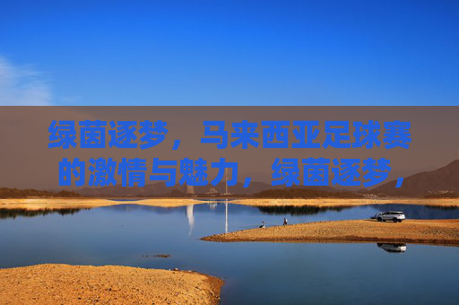 绿茵逐梦,马来西亚足球赛的激情与魅力,绿茵逐梦,马来西亚足球赛的激情与魅力