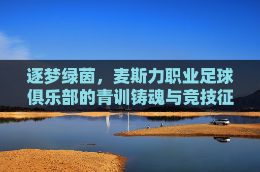 逐梦绿茵，麦斯力职业足球俱乐部的青训铸魂与竞技征程，逐梦绿茵，麦斯力职业足球俱乐部的青训铸魂与竞技征程