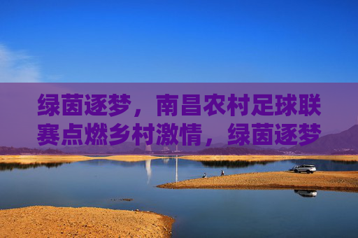 绿茵逐梦，南昌农村足球联赛点燃乡村激情，绿茵逐梦，南昌农村足球联赛点燃乡村激情