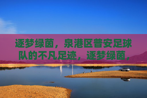 逐梦绿茵,泉港区普安足球队的不凡足迹,逐梦绿茵,泉港区普安足球队的不凡足迹