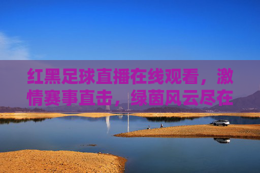 红黑足球直播在线观看，激情赛事直击，绿茵风云尽在掌握，红黑足球直播在线观看，激情赛事直击，绿茵风云尽在掌握