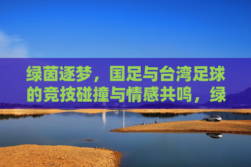 绿茵逐梦，国足与台湾足球的竞技碰撞与情感共鸣，绿茵逐梦，国足与台湾足球的竞技碰撞与情感共鸣
