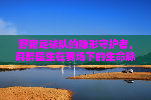 野猪足球队的隐形守护者,麻醉医生在赛场下的生命脉搏与激情同行,野猪足球队的隐形守护者,麻醉医生在赛场下的生命脉搏与激情同行