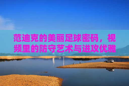 范迪克的美丽足球密码,视频里的防守艺术与进攻优雅,范迪克的美丽足球密码,视频里的防守艺术与进攻优雅