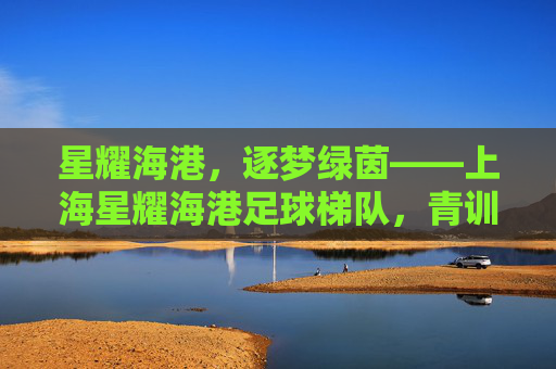 星耀海港，逐梦绿茵——上海星耀海港足球梯队，青训的星火传承与未来希望，星耀海港，逐梦绿茵——上海星耀海港足球梯队，青训的星火传承与未来希望