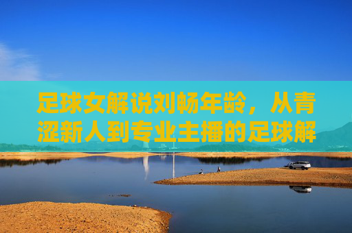 足球女解说刘畅年龄,从青涩新人到专业主播的足球解说之路,足球女解说刘畅年龄,从青涩新人到专业主播的足球解说之路