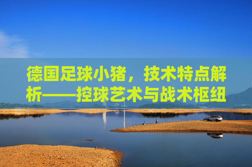 德国足球小猪,技术特点解析——控球艺术与战术枢纽的体现,德国足球小猪技术特点解析,控球艺术与战术枢纽的体现
