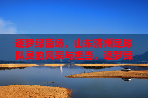 逐梦绿茵场,山东济州足球队员的风采与担当,逐梦绿茵场,山东济州足球队员的风采与担当