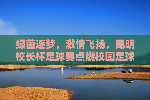 绿茵逐梦，激情飞扬，昆明校长杯足球赛点燃校园足球新活力，绿茵逐梦，激情飞扬，昆明校长杯足球赛点燃校园足球新活力