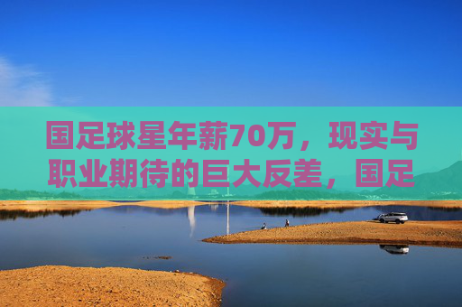 国足球星年薪70万，现实与职业期待的巨大反差，国足球星年薪70万，现实与职业期待的巨大反差