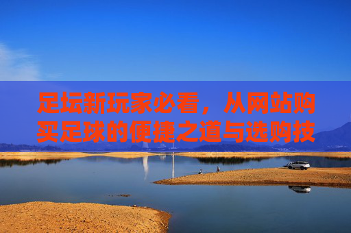 足坛新玩家必看,从网站购买足球的便捷之道与选购技巧,足坛新玩家必看,从网站购买足球的便捷之道与选购技巧
