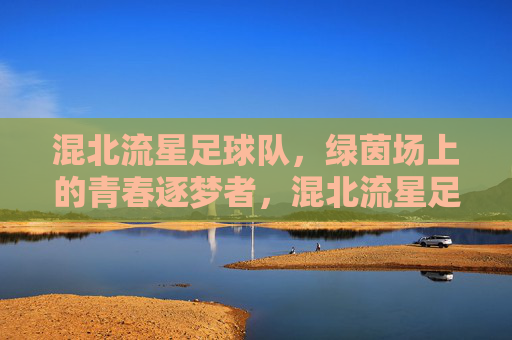 混北流星足球队，绿茵场上的青春逐梦者，混北流星足球队，绿茵场上的青春逐梦者