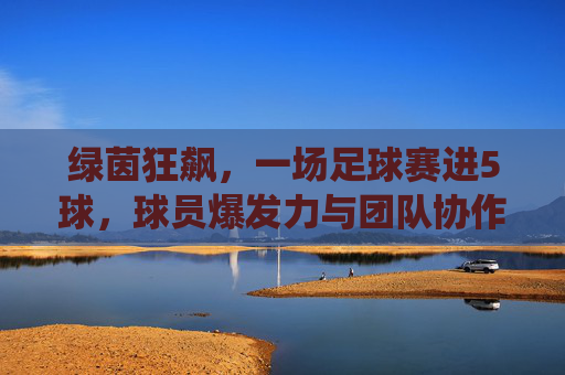 绿茵狂飙，一场足球赛进5球，球员爆发力与团队协作的精彩演绎，绿茵狂飙，一场足球赛进5球，球员爆发力与团队协作的精彩演绎