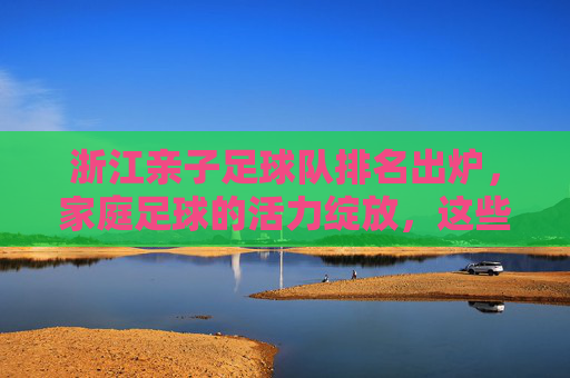 浙江亲子足球队排名出炉,家庭足球的活力绽放,这些队伍引领风尚,浙江亲子足球队排名出炉,家庭足球活力绽放,引领运动风尚