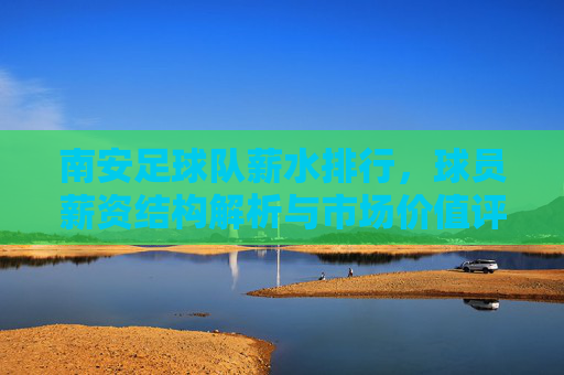 南安足球队薪水排行,球员薪资结构解析与市场价值评估,南安足球队球员薪水排行,薪资结构解析与市场价值评估