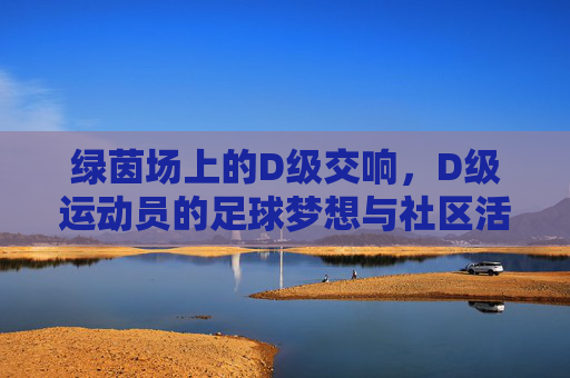 绿茵场上的D级交响，D级运动员的足球梦想与社区活力，绿茵场上的D级交响，D级运动员的足球梦想与社区活力
