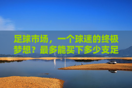 足球市场,一个球迷的终极梦想?最多能买下多少支足球俱乐部?足球市场,一个球迷的终极梦想,最多能买下多少支足球俱乐部?