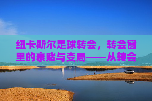 纽卡斯尔足球转会，转会窗里的豪赌与变局——从转会策略到球队未来展望，纽卡斯尔足球转会，转会窗里的豪赌与变局——从转会策略到球队未来展望