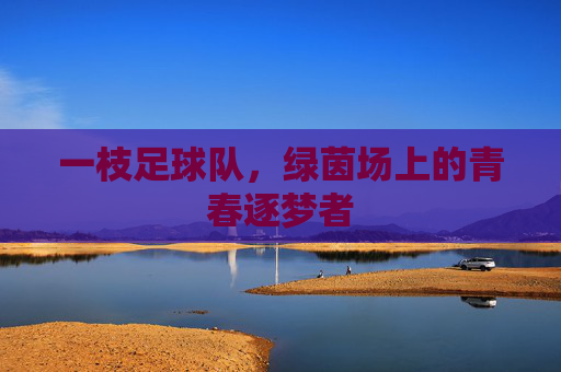 一枝足球队,绿茵场上的青春逐梦者