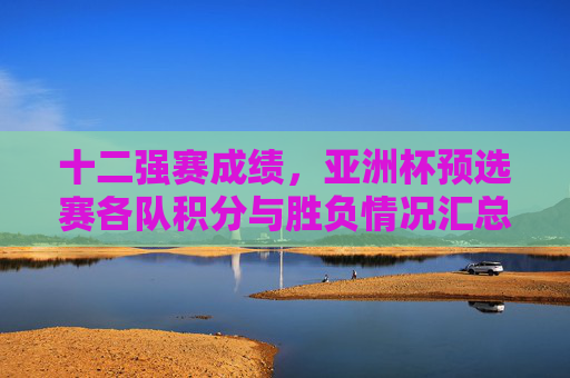 十二强赛成绩，亚洲杯预选赛各队积分与胜负情况汇总