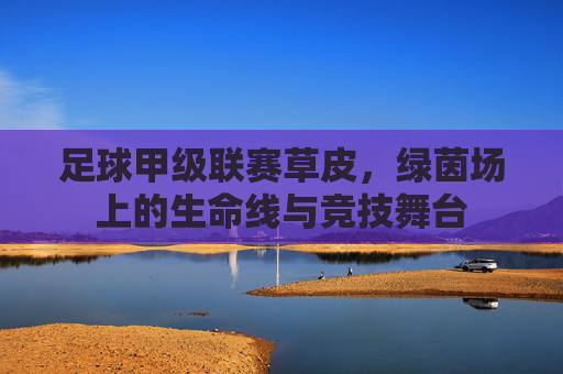 足球甲级联赛草皮,绿茵场上的生命线与竞技舞台