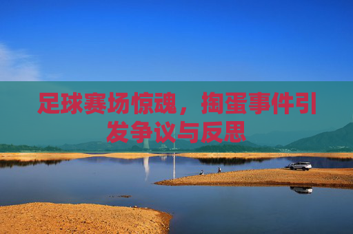 足球赛场惊魂，掏蛋事件引发争议与反思
