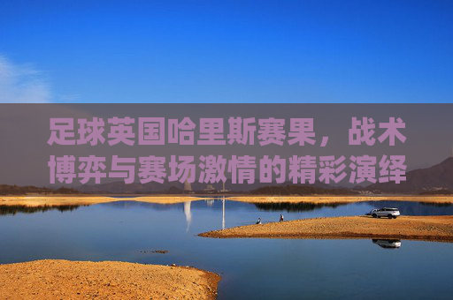 足球英国哈里斯赛果,战术博弈与赛场激情的精彩演绎——一场经典对决的深度解析