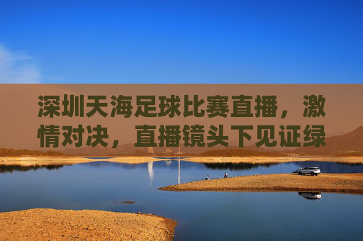 深圳天海足球比赛直播，激情对决，直播镜头下见证绿茵传奇