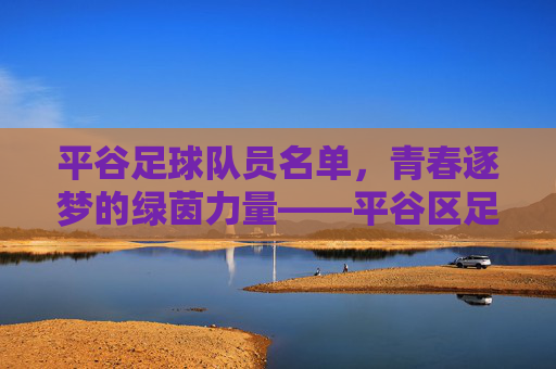 平谷足球队员名单,青春逐梦的绿茵力量——平谷区足球队核心阵容与团队风采