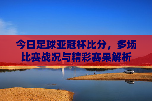 今日足球亚冠杯比分，多场比赛战况与精彩赛果解析