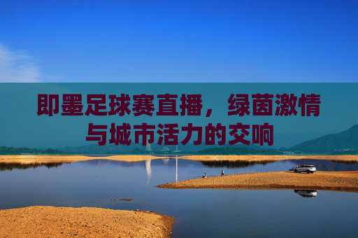 即墨足球赛直播,绿茵激情与城市活力的交响