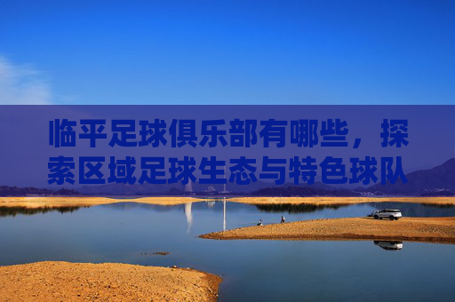 临平足球俱乐部有哪些,探索区域足球生态与特色球队