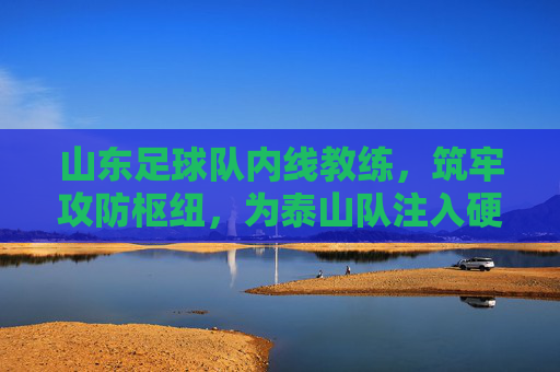 山东足球队内线教练,筑牢攻防枢纽,为泰山队注入硬核力量