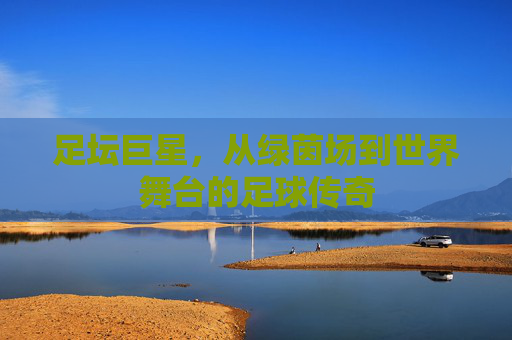 足坛巨星,从绿茵场到世界舞台的足球传奇