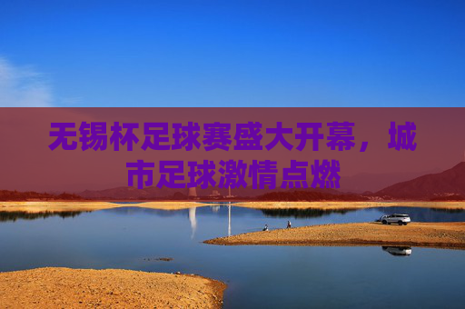 无锡杯足球赛盛大开幕,城市足球激情点燃