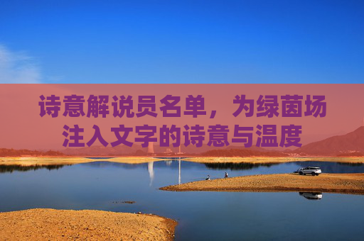 诗意解说员名单,为绿茵场注入文字的诗意与温度