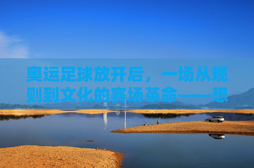 奥运足球放开后，一场从规则到文化的赛场革命——想象中的赛事新图景，奥运足球放开后，一场从规则到文化的赛场革命——想象中的赛事新图景