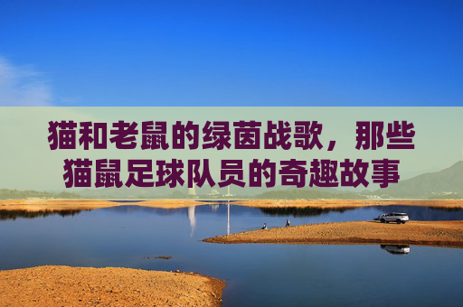 猫和老鼠的绿茵战歌,那些猫鼠足球队员的奇趣故事