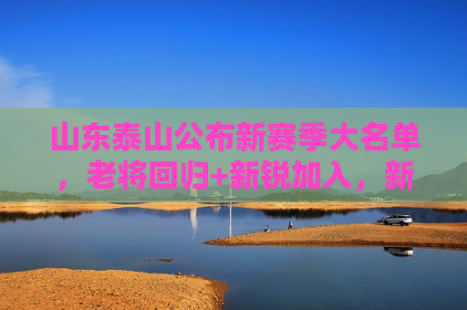山东泰山公布新赛季大名单，老将回归+新锐加入，新赛季征途再启引球迷热议，山东泰山公布新赛季大名单，老将回归+新锐加盟，征途再启引球迷热议