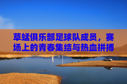 草蜢俱乐部足球队成员，赛场上的青春集结与热血拼搏