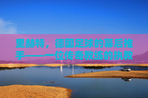 里赫特,德国足球的幕后推手——一位传奇教练的执教哲学与时代印记