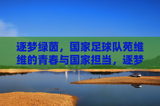 逐梦绿茵,国家足球队苑维维的青春与国家担当,逐梦绿茵,国家足球队苑维维的青春与国家担当