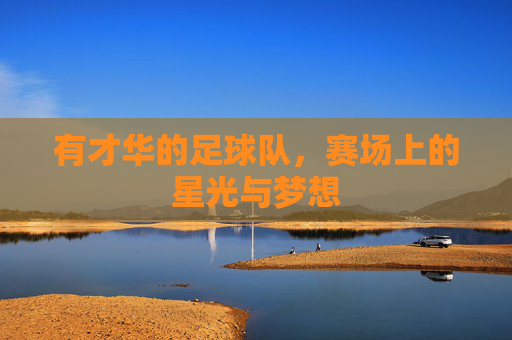 有才华的足球队，赛场上的星光与梦想