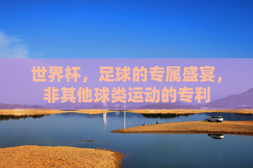 世界杯,足球的专属盛宴,非其他球类运动的专利