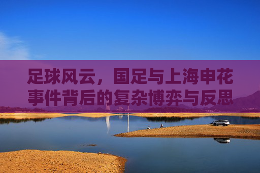 足球风云，国足与上海申花事件背后的复杂博弈与反思