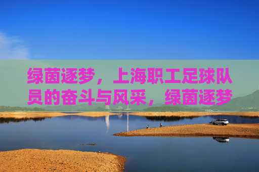 绿茵逐梦,上海职工足球队员的奋斗与风采,绿茵逐梦,上海职工足球队员的奋斗与风采