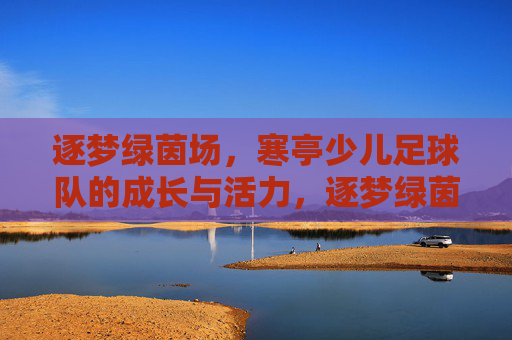 逐梦绿茵场，寒亭少儿足球队的成长与活力，逐梦绿茵场，寒亭少儿足球队的成长与活力